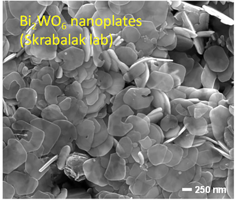 Bi2Wo6 nanoplates (Skrabalak lab)